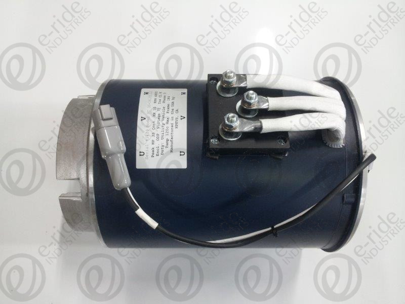 AC DRIVE MOTOR (SEE NOTES)