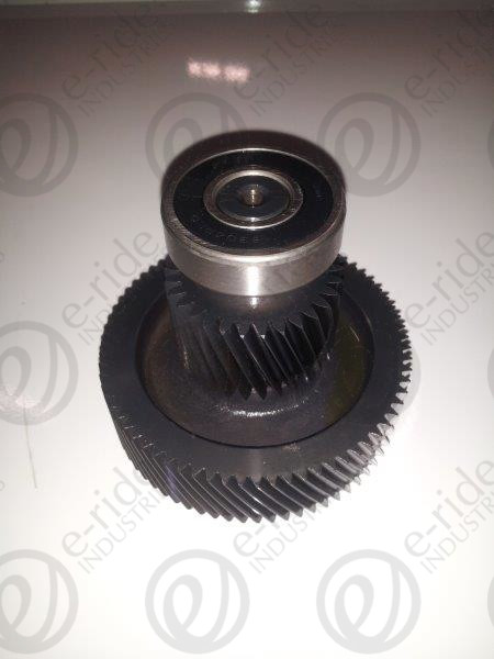 MIDDLE GEAR